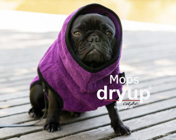 Dry-up Cape Frenchie & Co i gruppen Hunden / Tcken/Vstar/Skydd m.m  / Tcken Dry-up  hos PAW of Sweden AB (Dryup Pug)